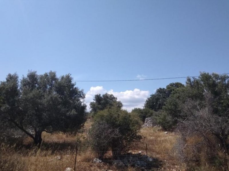 Kokkino Chorio Grundstück mit hohen Baurechten und Meerblick auf Kreta Grundstück kaufen